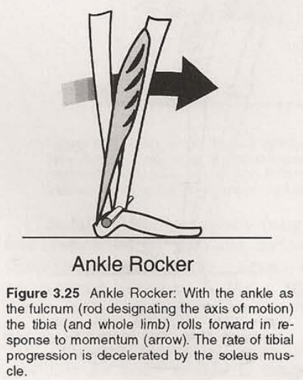 Ankle rocker