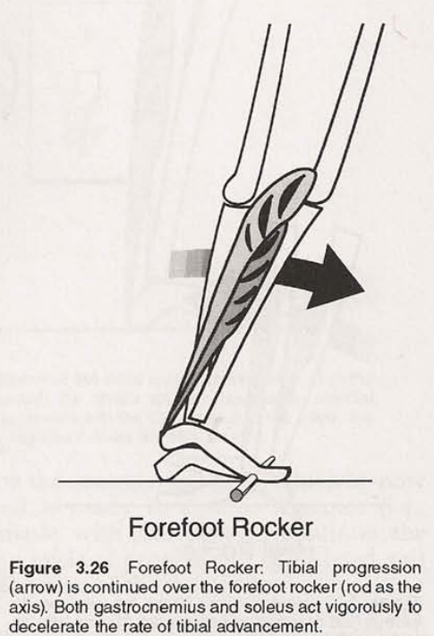 Forefoot rocker