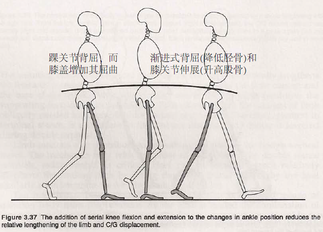 interchange_between_ankle_and_knee_motion